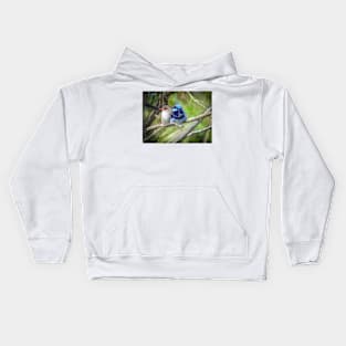 Superb Fairywren Pair Kids Hoodie